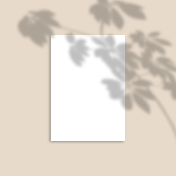垂直A4纸模型与现实的阴影覆盖叶谢夫莱拉。向量阴影的植物在粉红色的背景图片下载