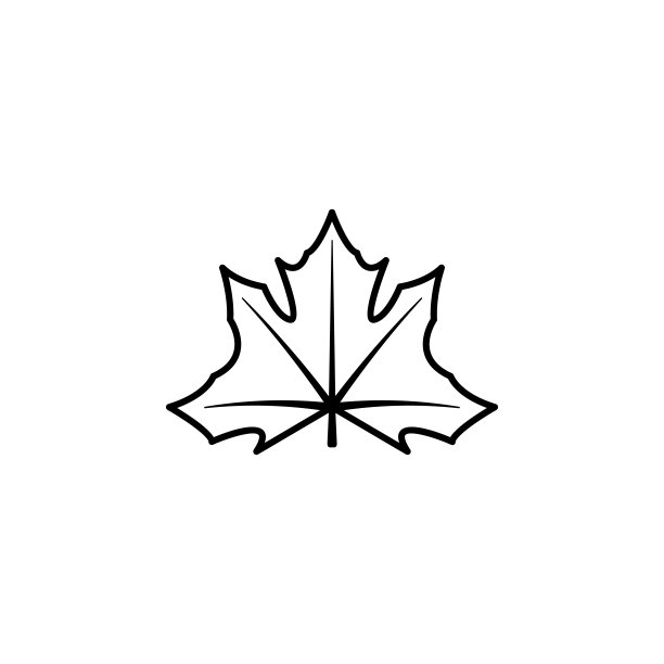 枫叶图标。感恩节元素的移动概念和web应用插图。细线图标用于网站设计和开发，应用程序开发图片下载