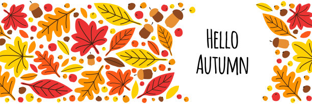 可爱的植物手绘秋叶背景图片下载