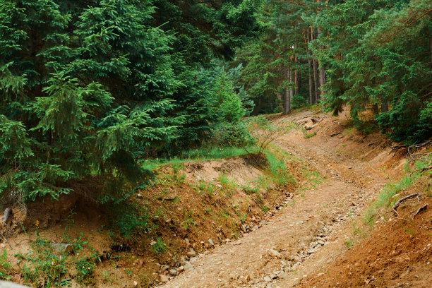 美丽的夏季景观-乡间小路上的山与云杉，木栅栏，多云的天空在明亮的阳光灿烂的一天。木制房屋的村庄。喀尔巴阡山脉。乌克兰。欧洲。旅游的背景。图片下载