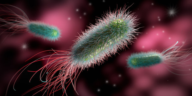 三种单独的彩色细菌图片下载