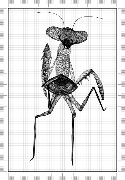 螳螂,蓝图图片下载