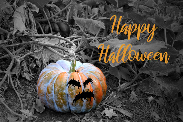 万圣节快乐与可怕的南瓜贺卡插图图片下载