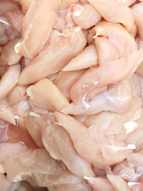 鸡肉和肉无毒部位图片下载