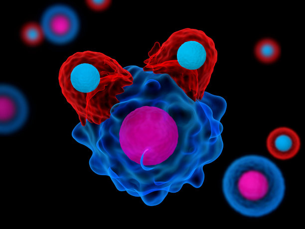T细胞攻击癌细胞图片下载