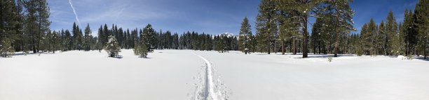 全景拍摄的单轨通过雪域森林图片下载