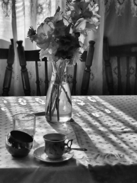 乡村厨房场景与花和花瓶图片下载