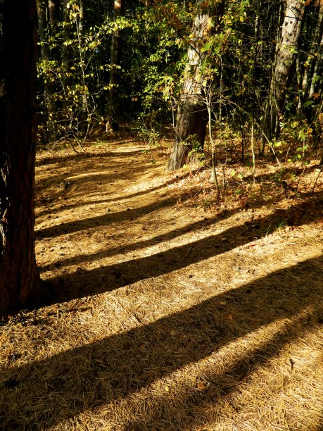 灯的图纸图片下载