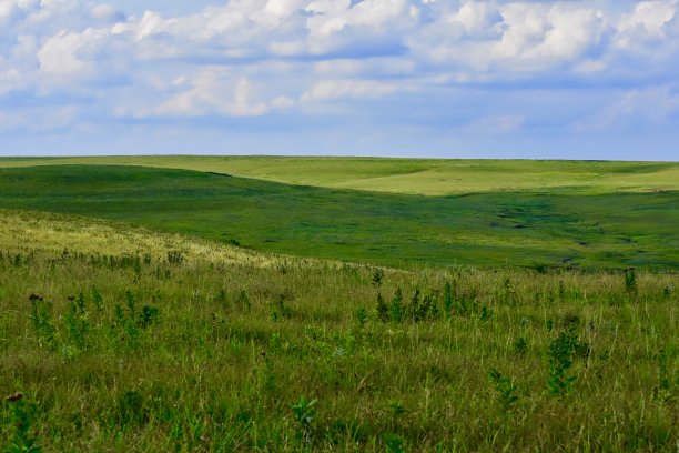 Tallgrass草原国家公园，堪萨斯州图片下载