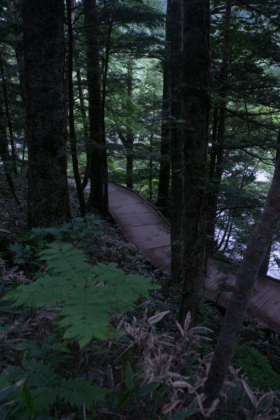 一个走道图片下载