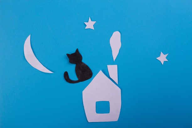 黑猫在屋顶上图片下载