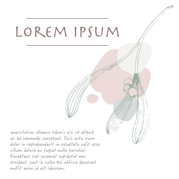 圣诞背景与槲寄生植物粉彩角用画笔描图片下载