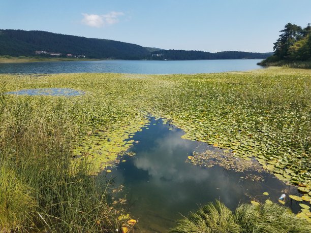 土耳其博鲁的阿班特湖图片下载