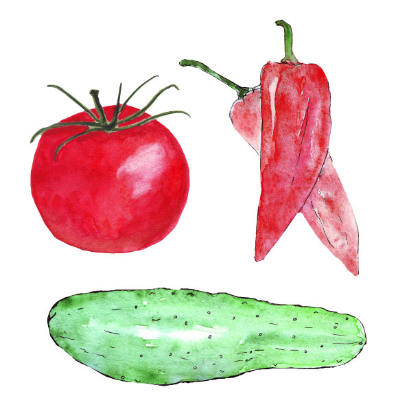水彩番茄黄瓜辣椒蔬菜集孤立图片下载