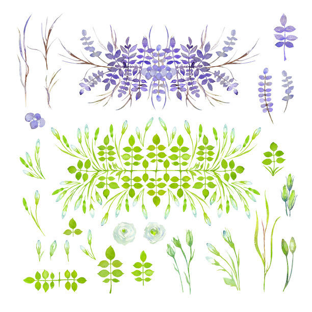 绿色植物的花束。采用浅蓝色桉树、玫瑰叶、口叶花和天然叶组成。水彩插图。图片下载