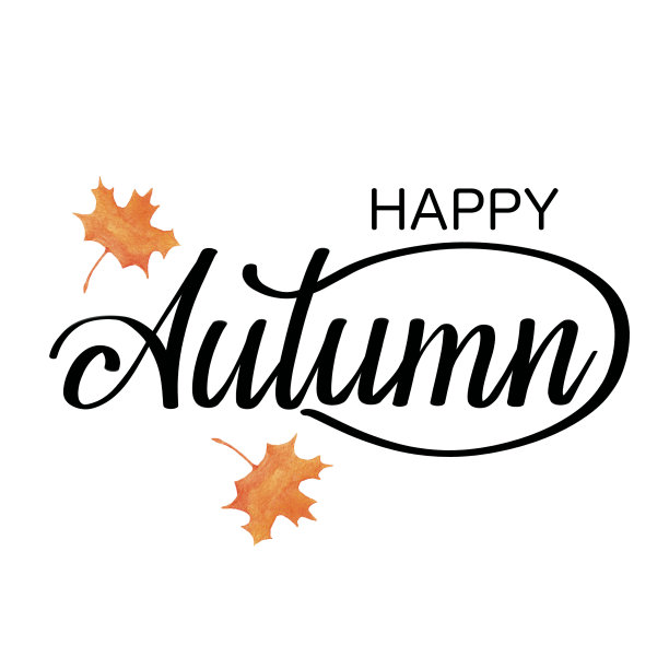 快乐的秋天字母与橙色的大理树叶在白色的背景。图片下载