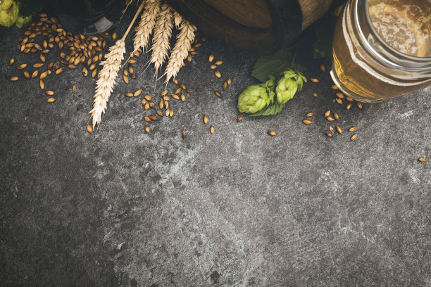 木桌上摆着一桶桶啤酒和麦酒图片下载