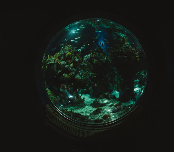 隐藏的世界图片下载