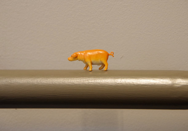 塑料猪图片下载