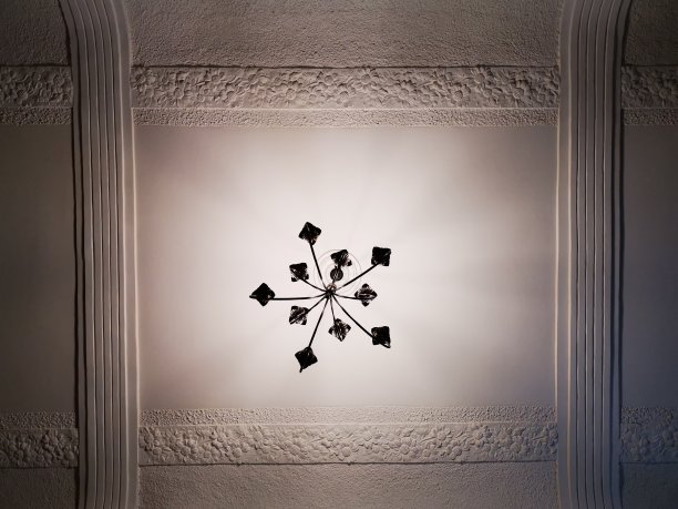 美丽的cil图片下载