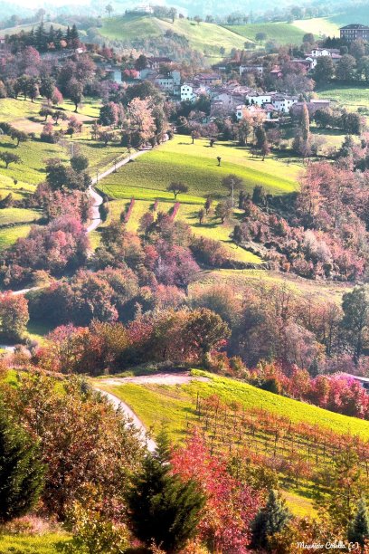 秋天的风景图片下载