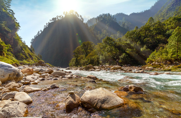 在印度北阿坎德邦的Munsiyari，日出时的Gori恒河被茂密的森林包围图片下载