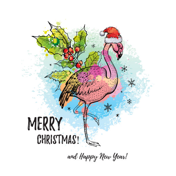 热带风情圣诞节：戴圣诞帽的火烈鸟手绘涂鸦，女孩T恤印花卡片，异国情调节日图标，彩色矢量水彩插画，白色背景图片下载
