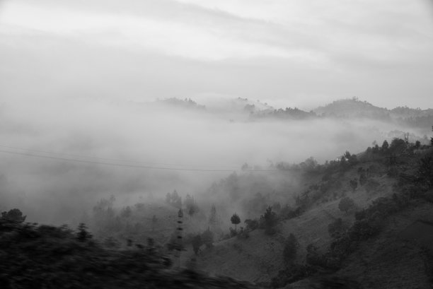 朦胧的日出，布温迪密林图片下载