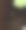 蜘蛛杀手在他致命的网陷阱中等待着。图片下载