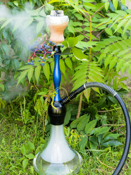 水烟和水果在大自然中。在树下水烟。从水烟管里抽。水果的味道。煤块换水烟。休息和放松。“r”n图片下载