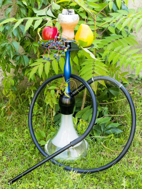 水烟和水果在大自然中。在树下水烟。从水烟管里抽。水果的味道。煤块换水烟。休息和放松。“r”n图片下载