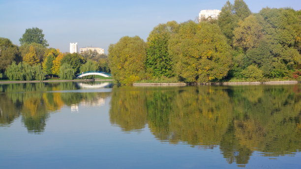 城市公园的夏天图片下载