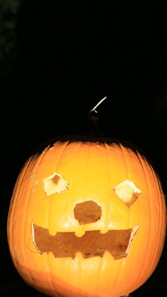 黄色的南瓜图片下载