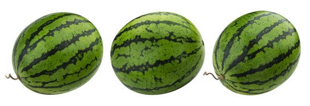 西瓜孤立在白色背景与剪切路径图片下载