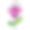 彩色的花孤立在白色的背景。矢量插图。图片下载