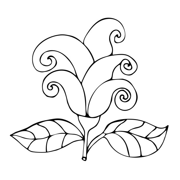 大朵花，花瓣卷曲，白色背景。矢量插图。图片下载