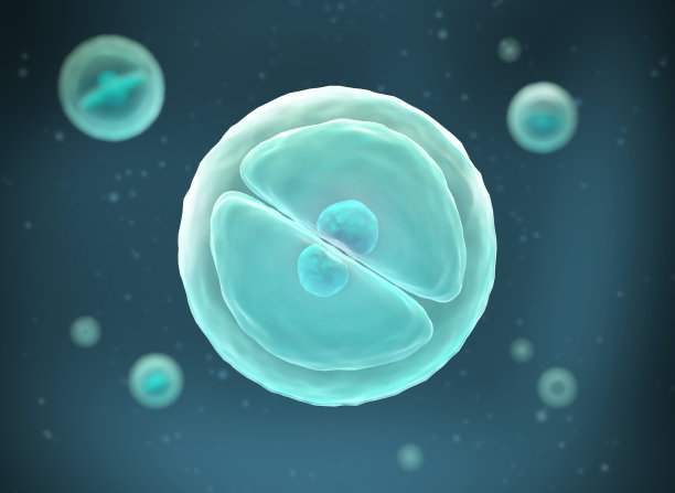 人类细胞或胚胎干细胞。图片下载