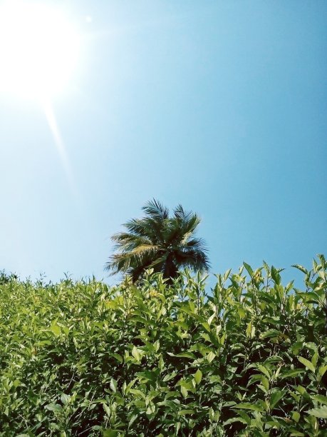 气候变化图片下载