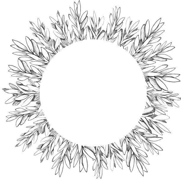 定制橄榄枝与铅笔框架或花环手绘。为文本留出空白。简单甜美的灰度设计用于明信片，保存日期卡，婚礼或生日请柬，社交媒体或博客帖子。图片下载