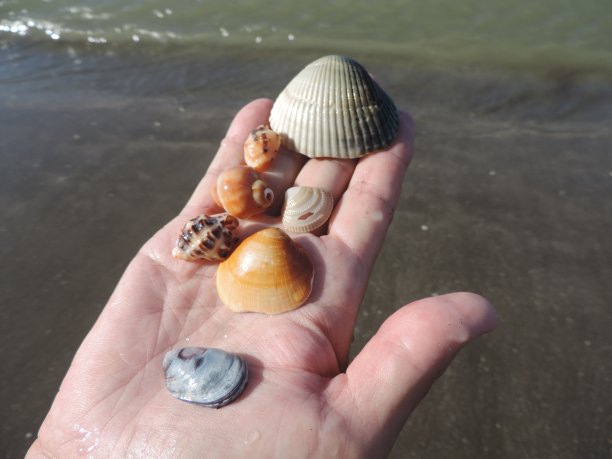 海上旅行收集。Onjuku、千叶、日本图片下载