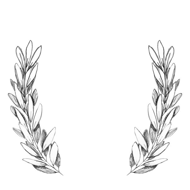 定制橄榄枝与铅笔框架或花环手绘。为文本留出空白。简单甜美的灰度设计用于明信片，保存日期卡，婚礼或生日请柬，社交媒体或博客帖子。图片下载