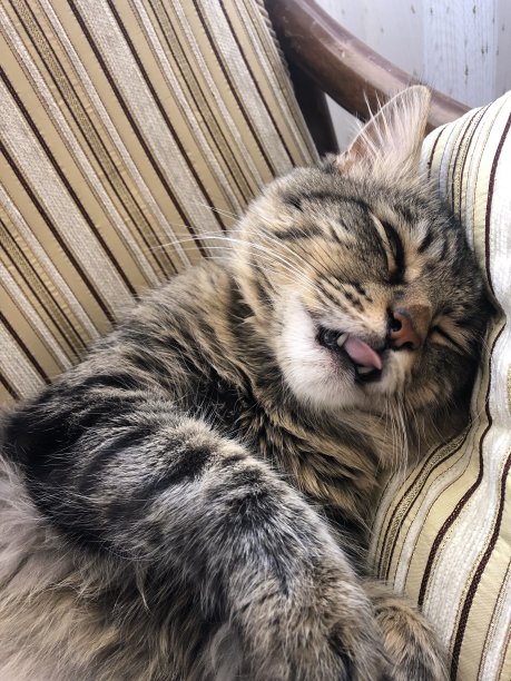 好的午睡图片下载