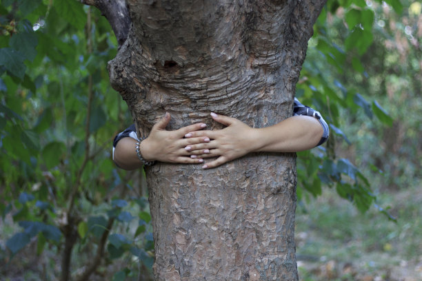 女人双手抱树，女孩抱树图片下载