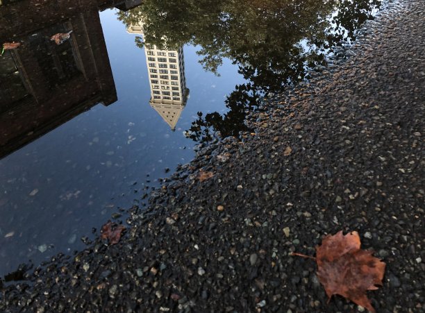 西雅图图片下载