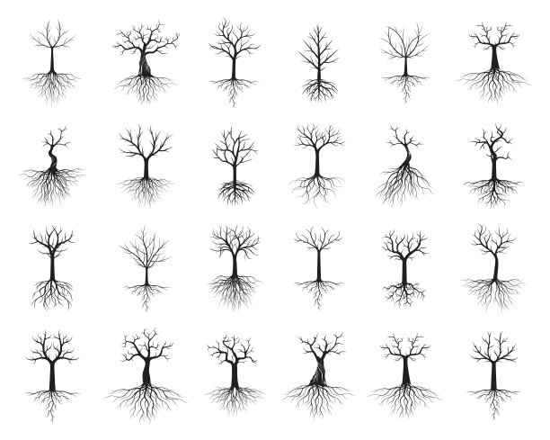 一组黑色孤立的树木与根在白色的背景。矢量插图和概念。植物在花园。图片下载