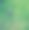 仙境的兔子图片下载