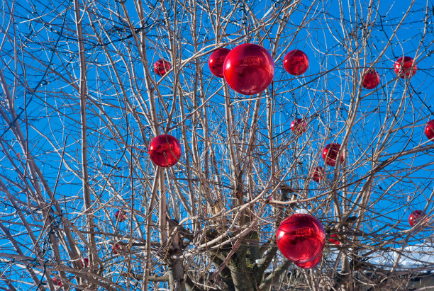 室外树上挂着红色的圣诞小玻璃球图片下载