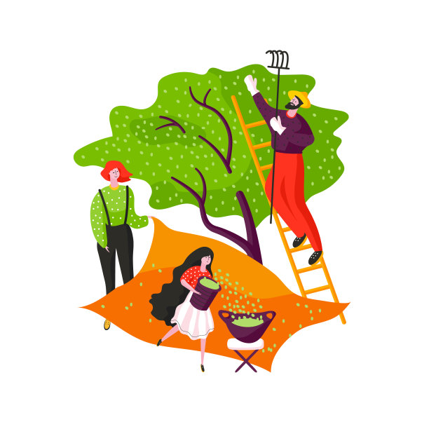 家庭园艺。橄榄油节的概念卡。图片下载