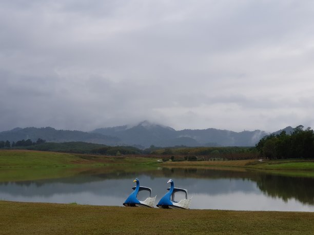 美丽、宁静、宁静、令人放松的湖滨图片下载