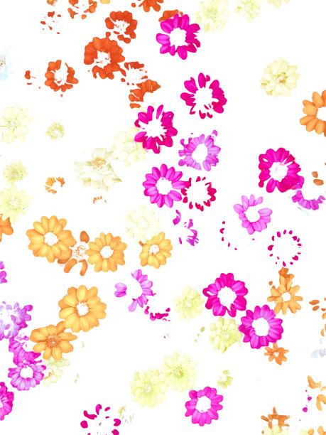 百日花的各种观赏图片下载